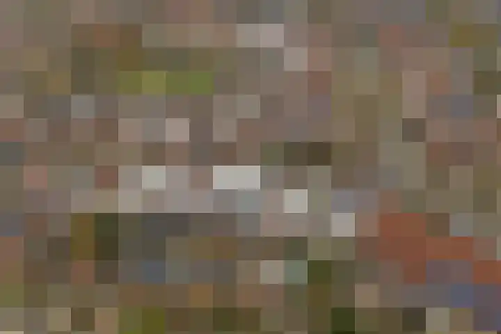 Thomsonstraat 190 Dronten thumbnail 39