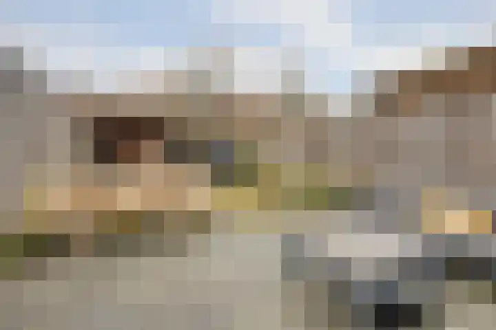 Thomsonstraat 190 Dronten thumbnail 4