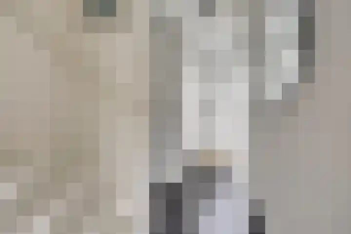 Thomsonstraat 190 Dronten thumbnail 7