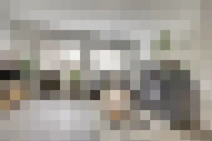 Thomsonstraat 190 Dronten thumbnail 9