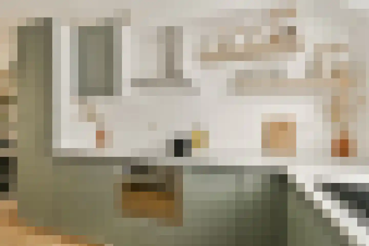 Thomsonstraat 203 Badhoevedorp thumbnail 6