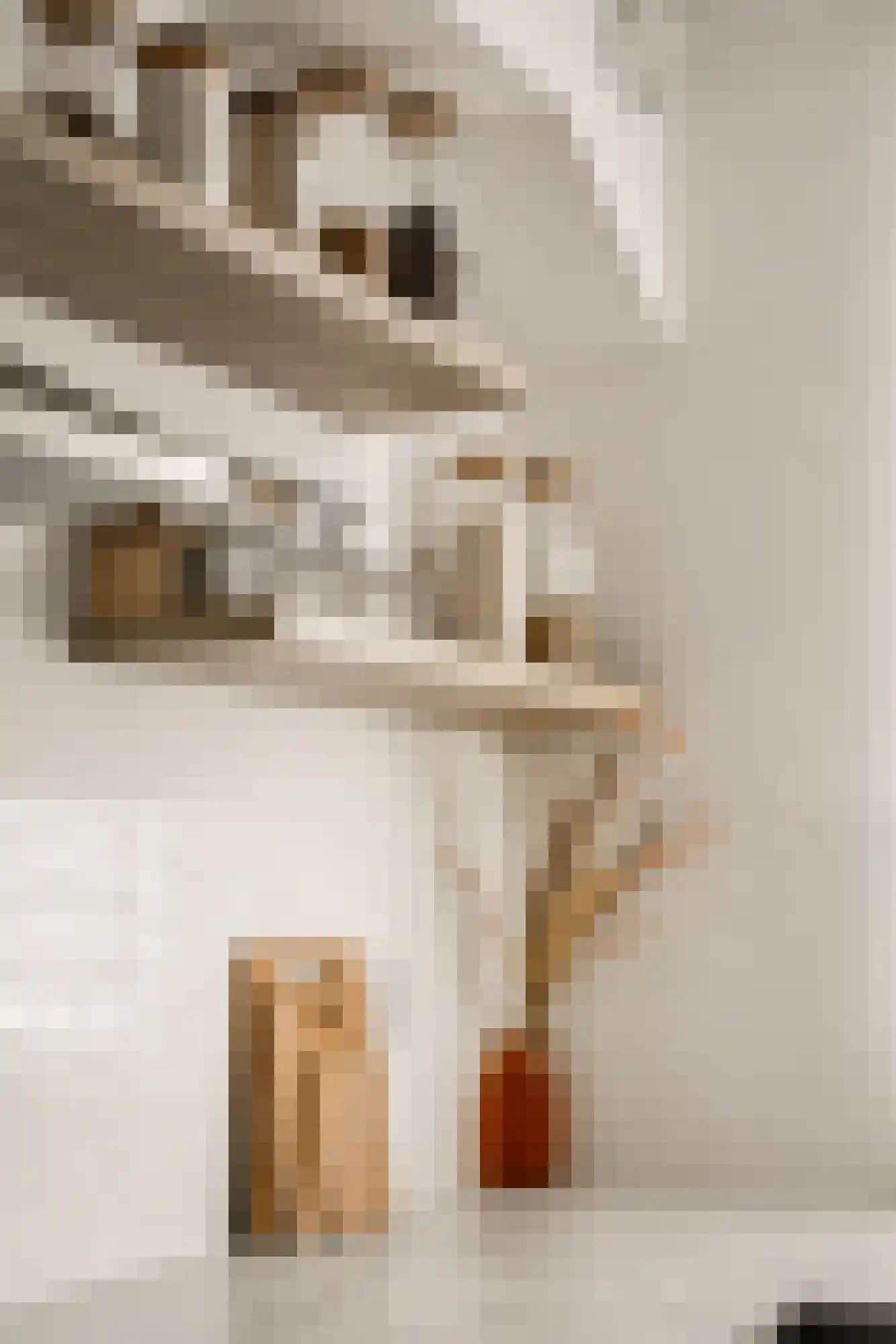 Thomsonstraat 203 Badhoevedorp thumbnail 8