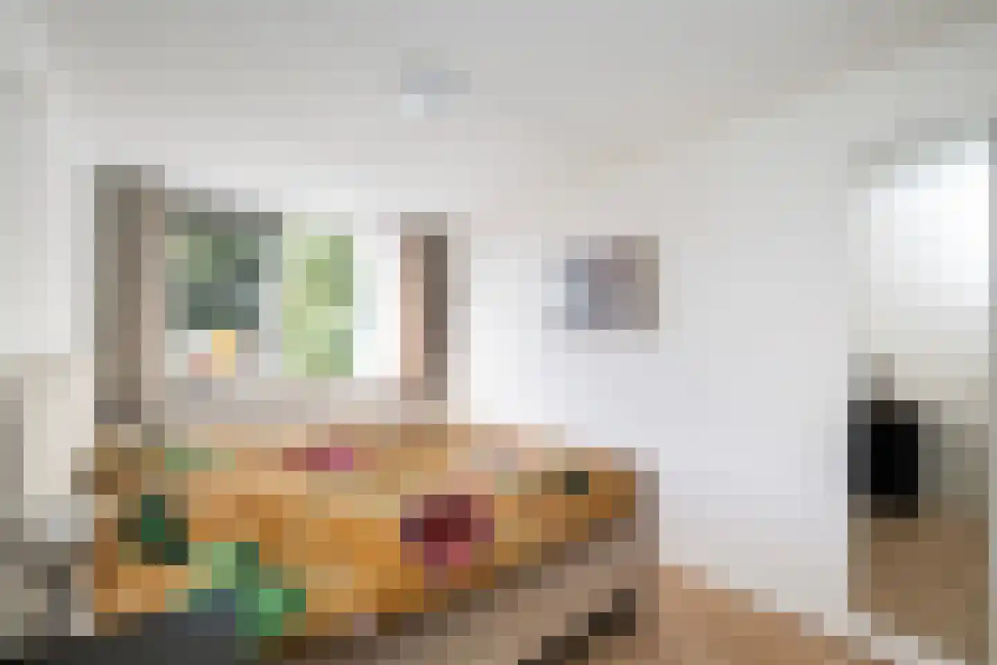 Thomsonstraat 210 D Dronten thumbnail 15
