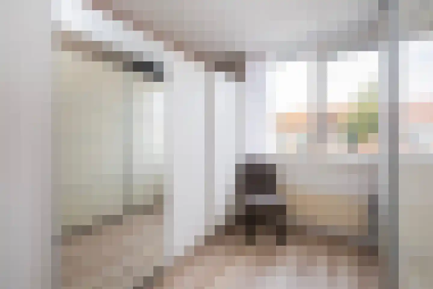 Thomsonstraat 210 D Dronten thumbnail 19