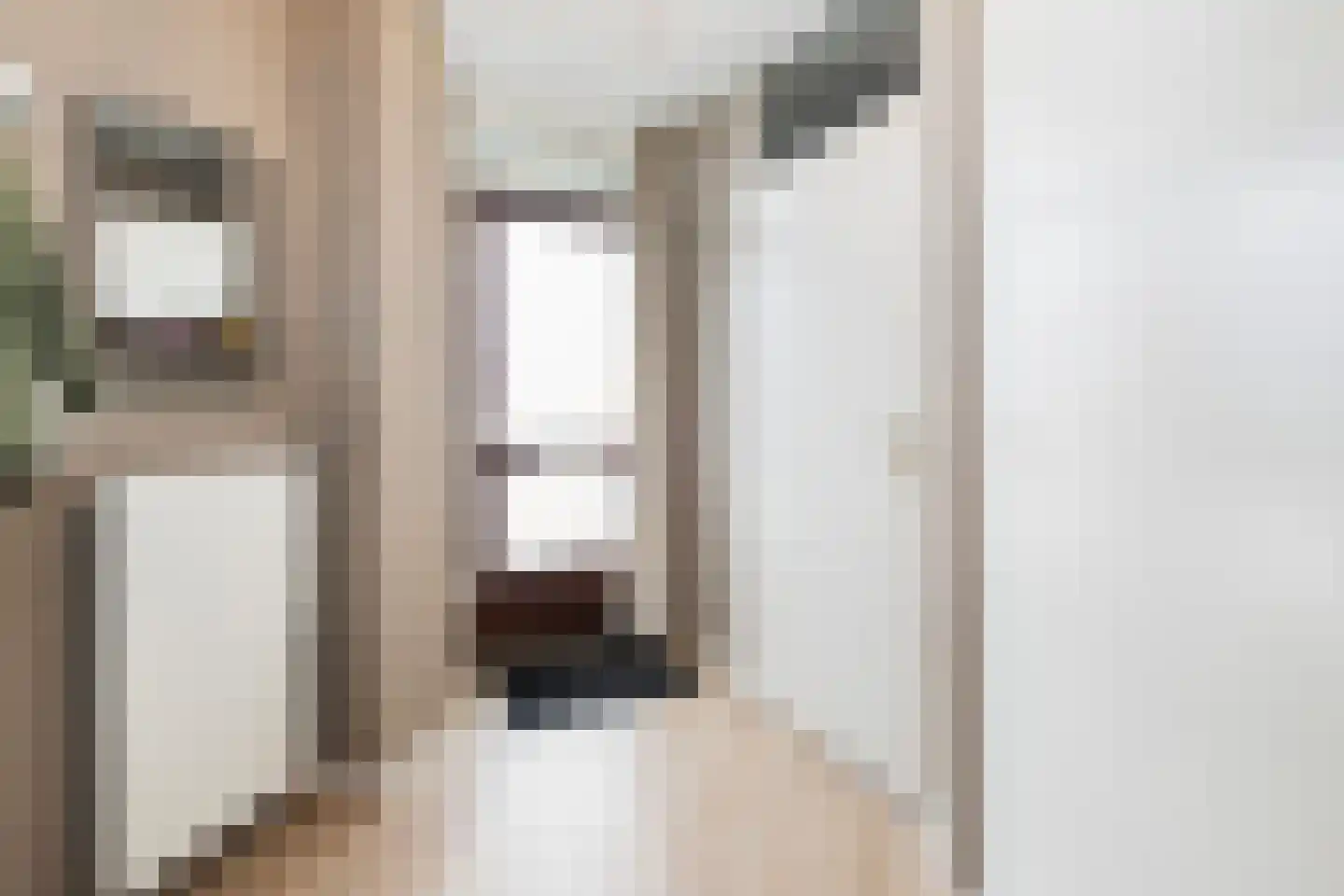 Thomsonstraat 210 D Dronten thumbnail 9