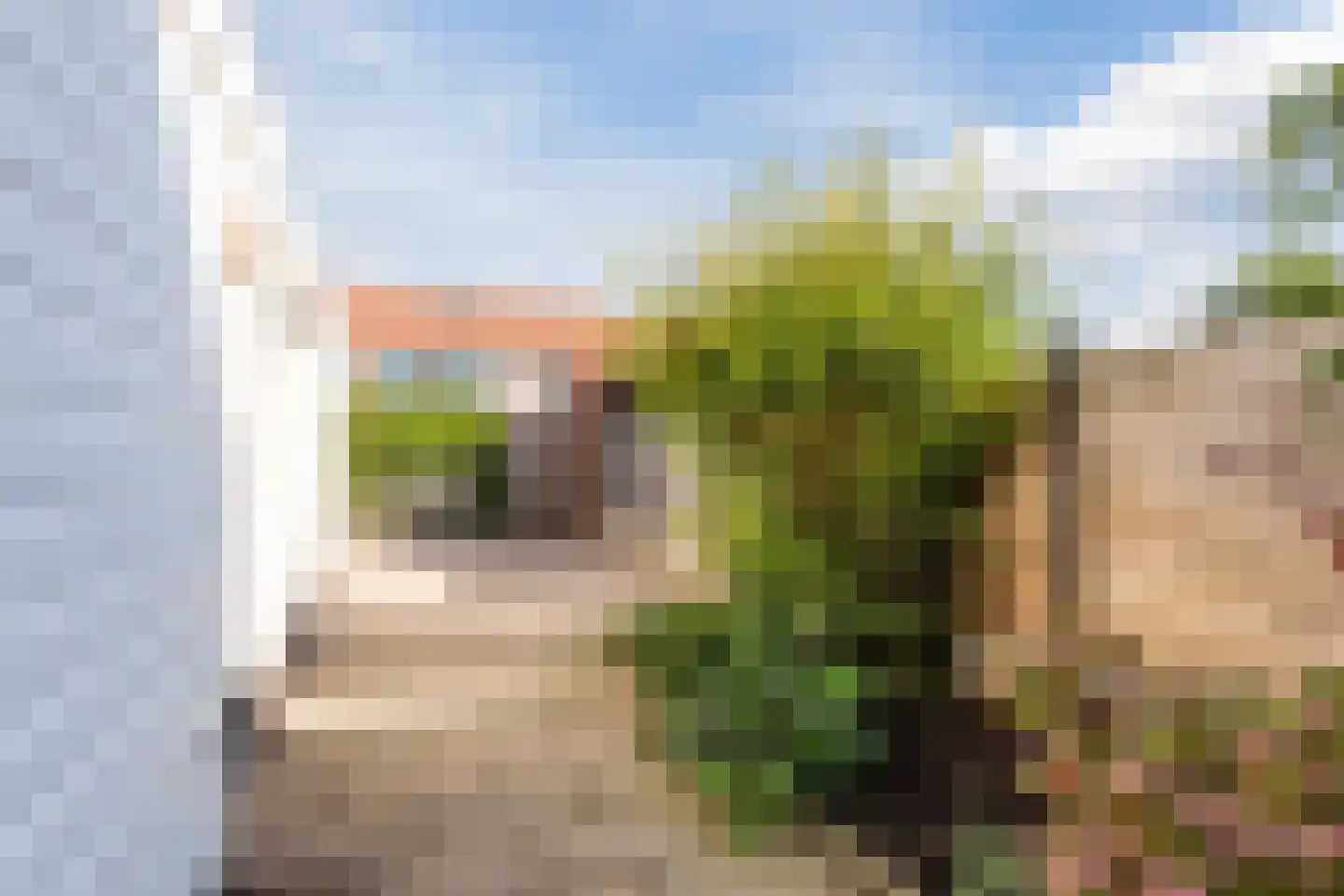 Thomsonstraat 216 Dronten thumbnail 38