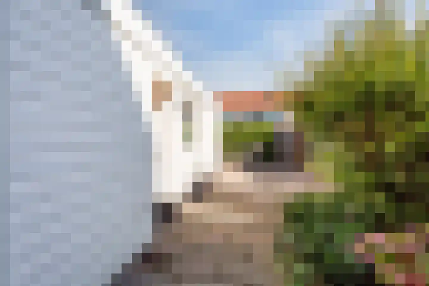 Thomsonstraat 216 Dronten thumbnail 39