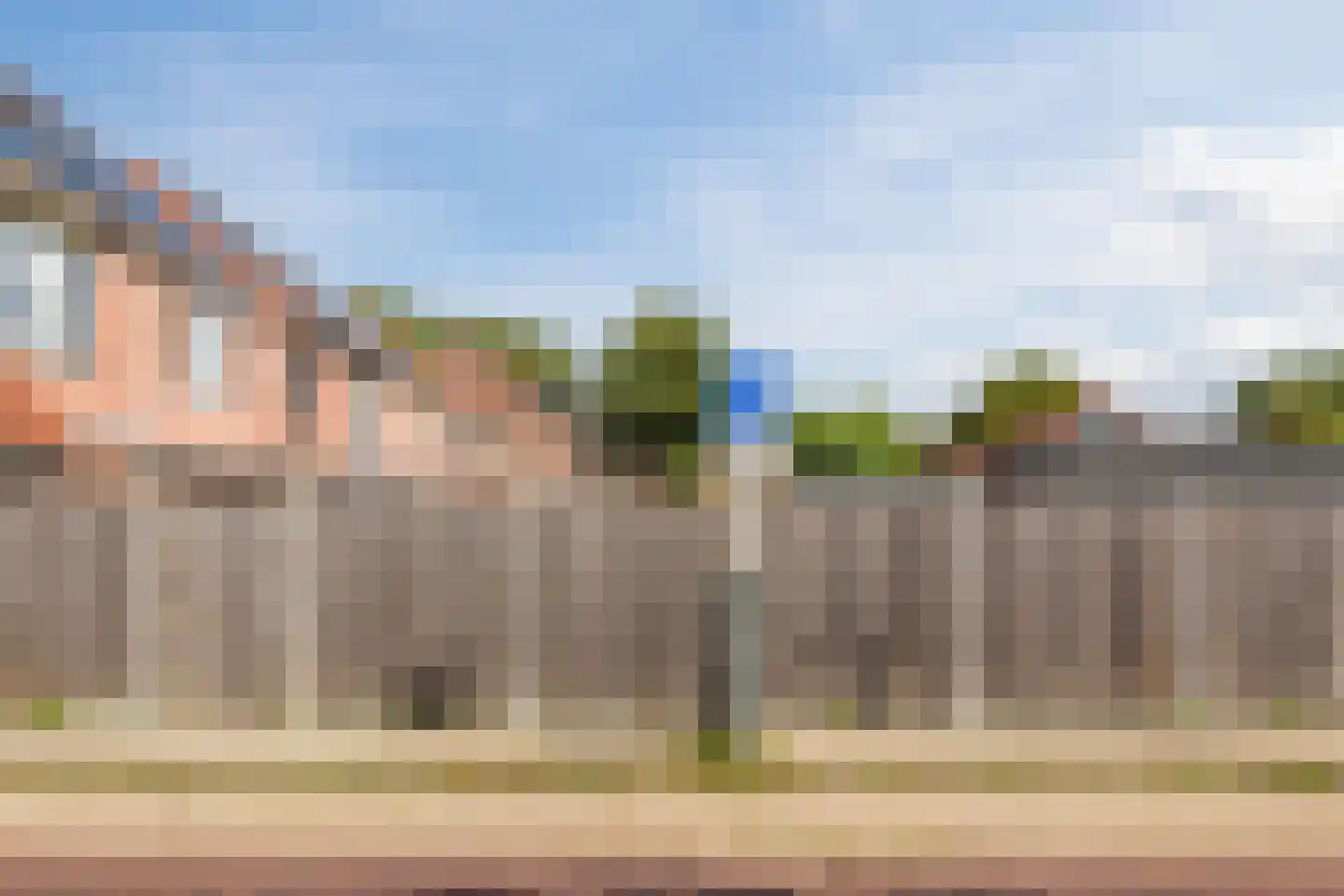 Thomsonstraat 216 Dronten thumbnail 43