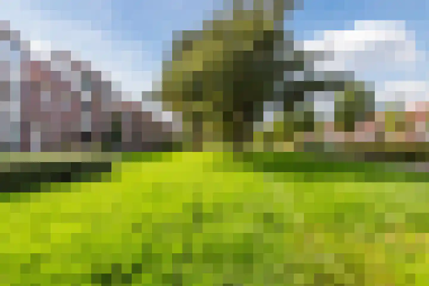 Thomsonstraat 216 Dronten thumbnail 45