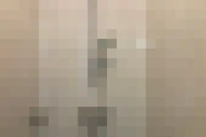 Thomsonstraat 224 Dronten thumbnail 17