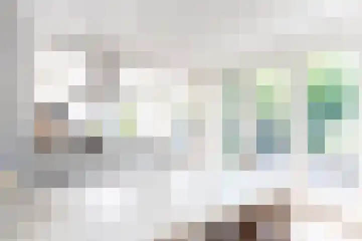 Thomsonstraat 224 Dronten thumbnail 5