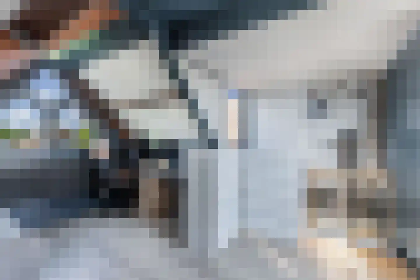 Thomsonstraat 236 Dronten thumbnail 34