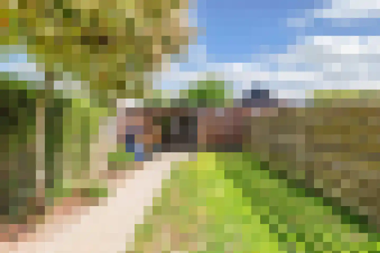 Thomsonstraat 236 Dronten thumbnail 37