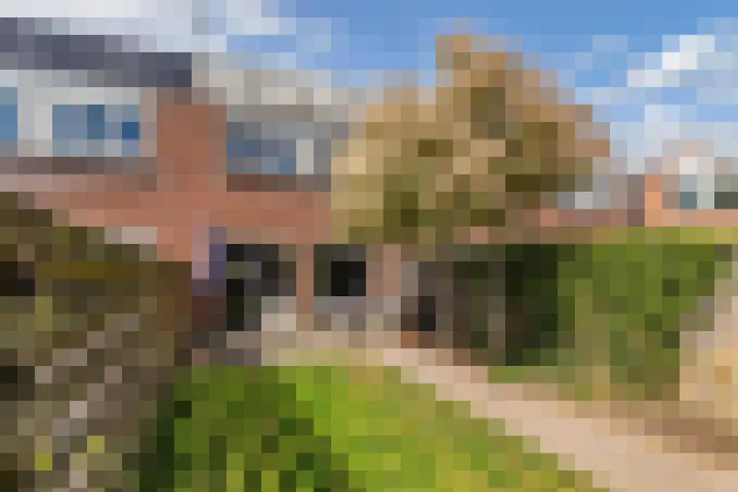 Thomsonstraat 236 Dronten thumbnail 38