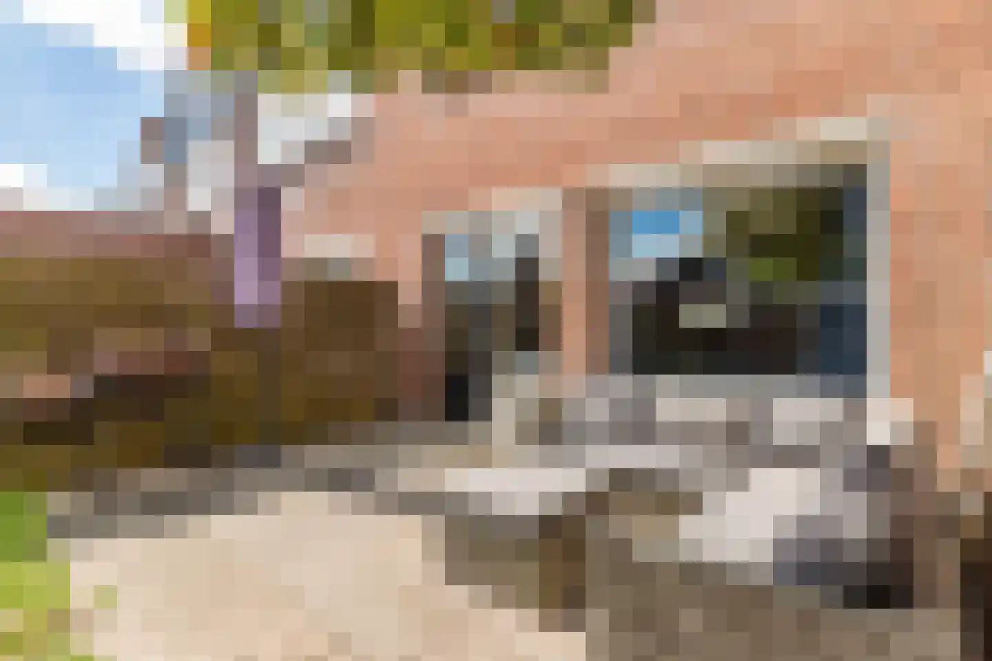 Thomsonstraat 236 Dronten thumbnail 40