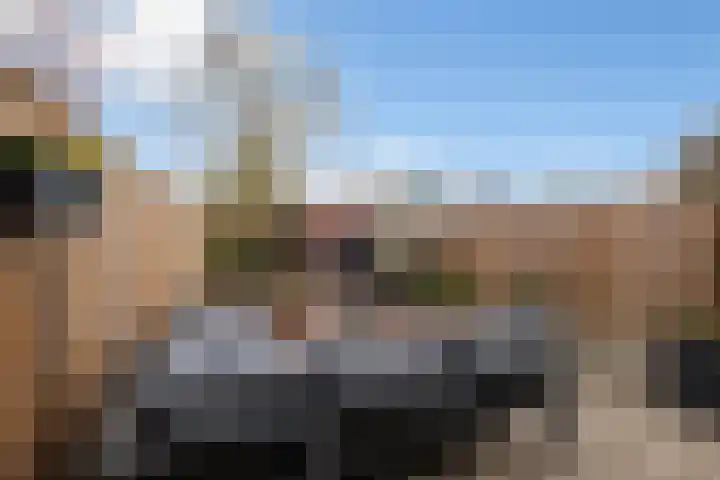 Thomsonstraat 240 Dronten thumbnail 19