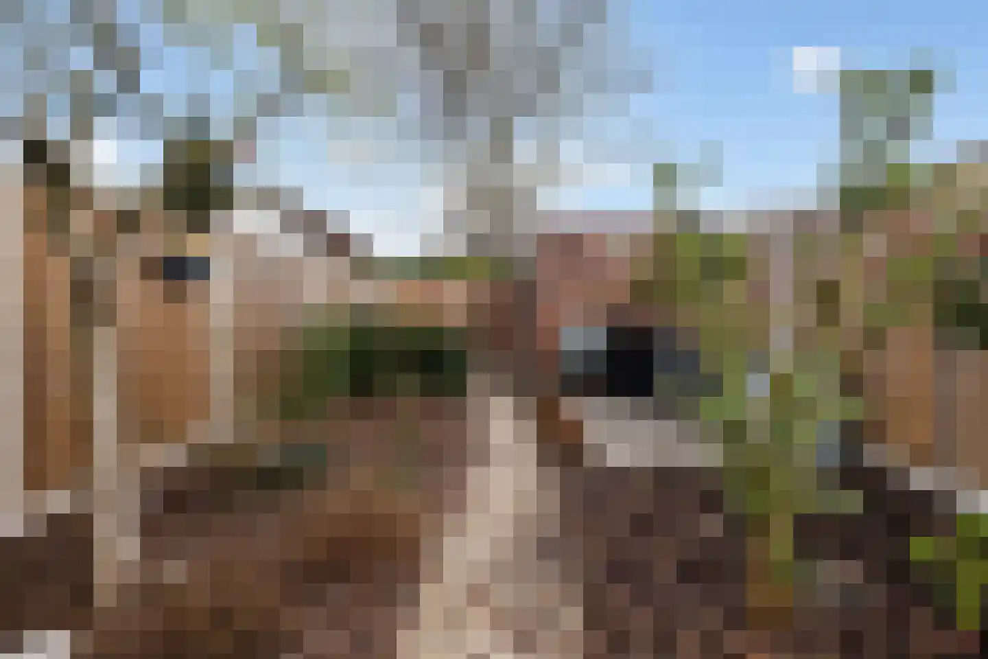 Thomsonstraat 240 Dronten thumbnail 20