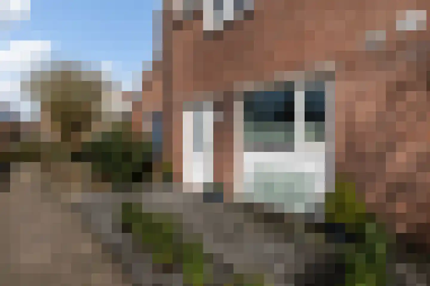 Thomsonstraat 240 Dronten thumbnail 23
