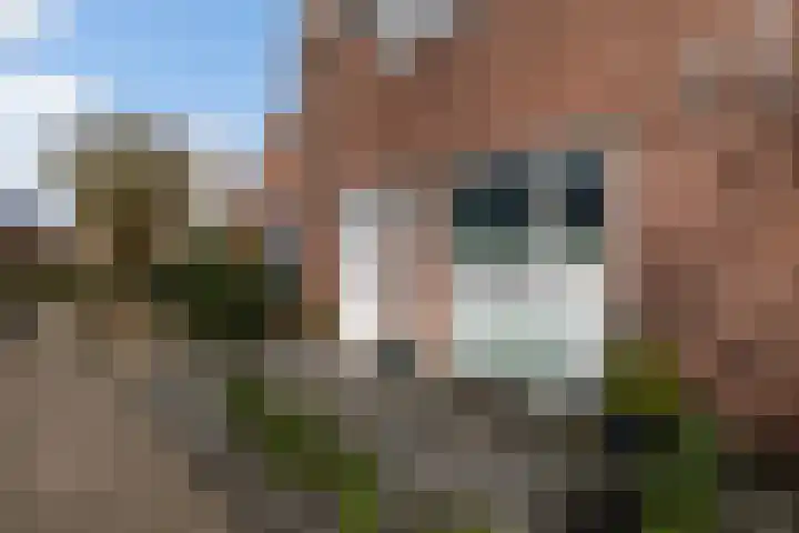 Thomsonstraat 240 Dronten thumbnail 23