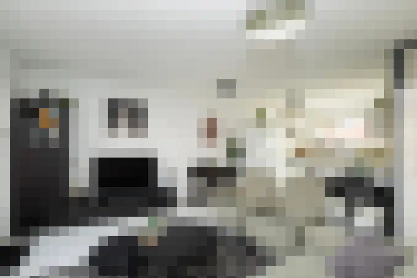Thomsonstraat 240 Dronten thumbnail 4