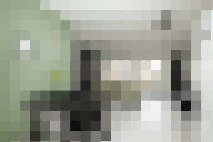 Thomsonstraat 240 Dronten thumbnail 6
