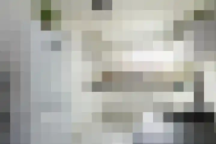 Thomsonstraat 240 Dronten thumbnail 7