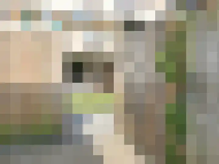 Thomsonstraat 25 Badhoevedorp thumbnail 21