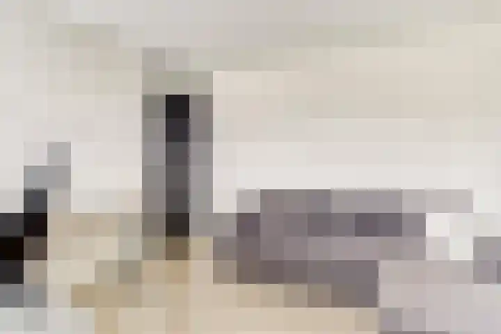 Thomsonstraat 260 Dronten thumbnail 17