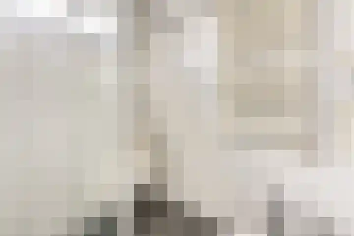 Thomsonstraat 260 Dronten thumbnail 19