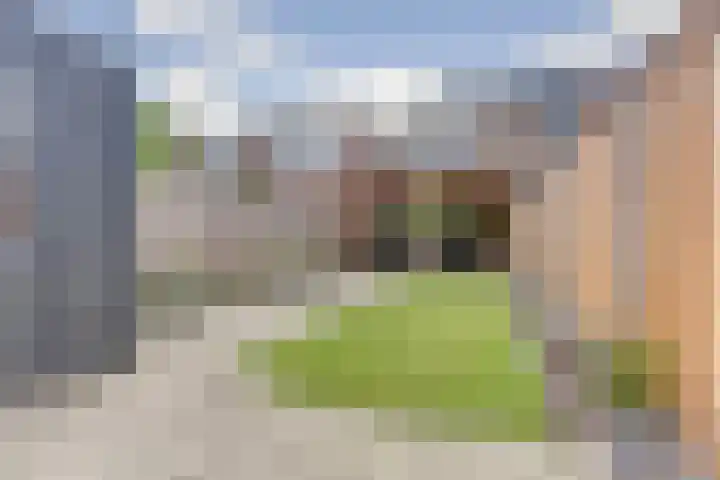 Thomsonstraat 260 Dronten foto 2