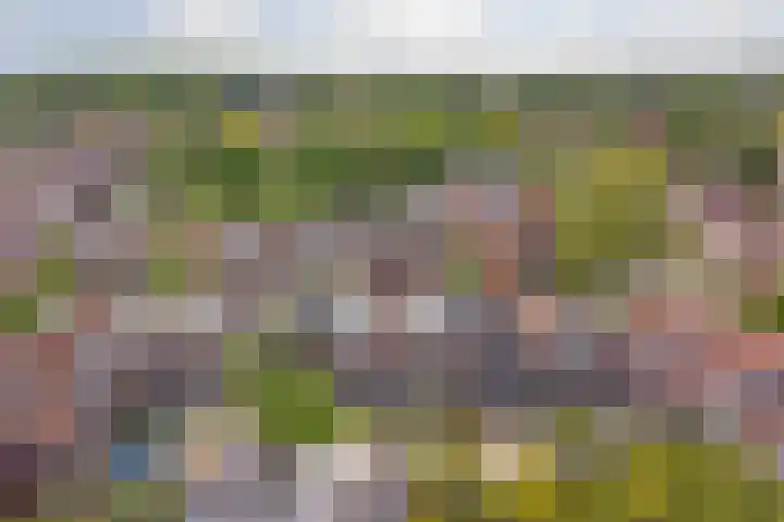 Thomsonstraat 260 Dronten thumbnail 24