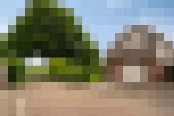 Thomsonstraat 260 Dronten thumbnail 25