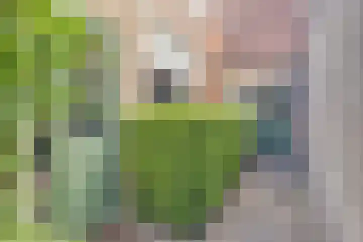 Thomsonstraat 260 Dronten thumbnail 27