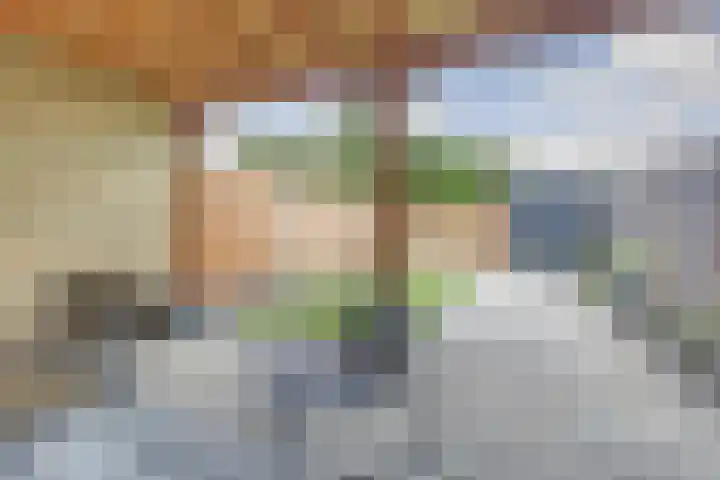 Thomsonstraat 260 Dronten thumbnail 28