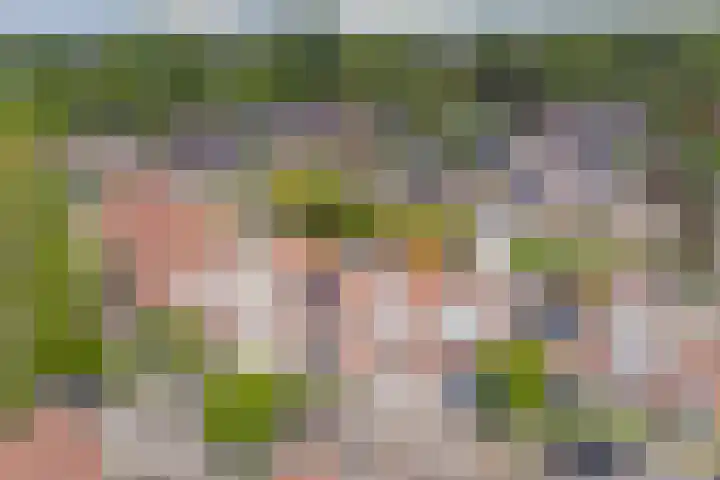 Thomsonstraat 260 Dronten thumbnail 5