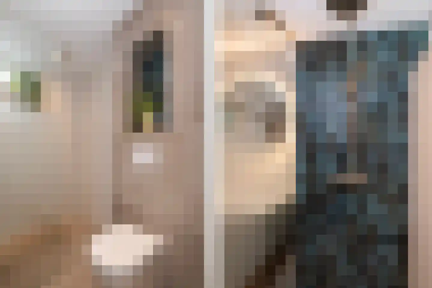 Thomsonstraat 46 Dronten thumbnail 16