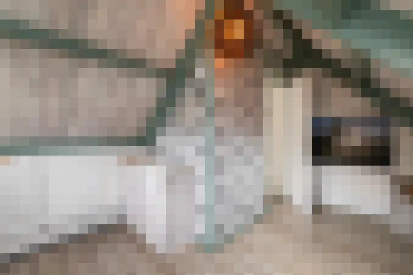 Thomsonstraat 46 Dronten thumbnail 18