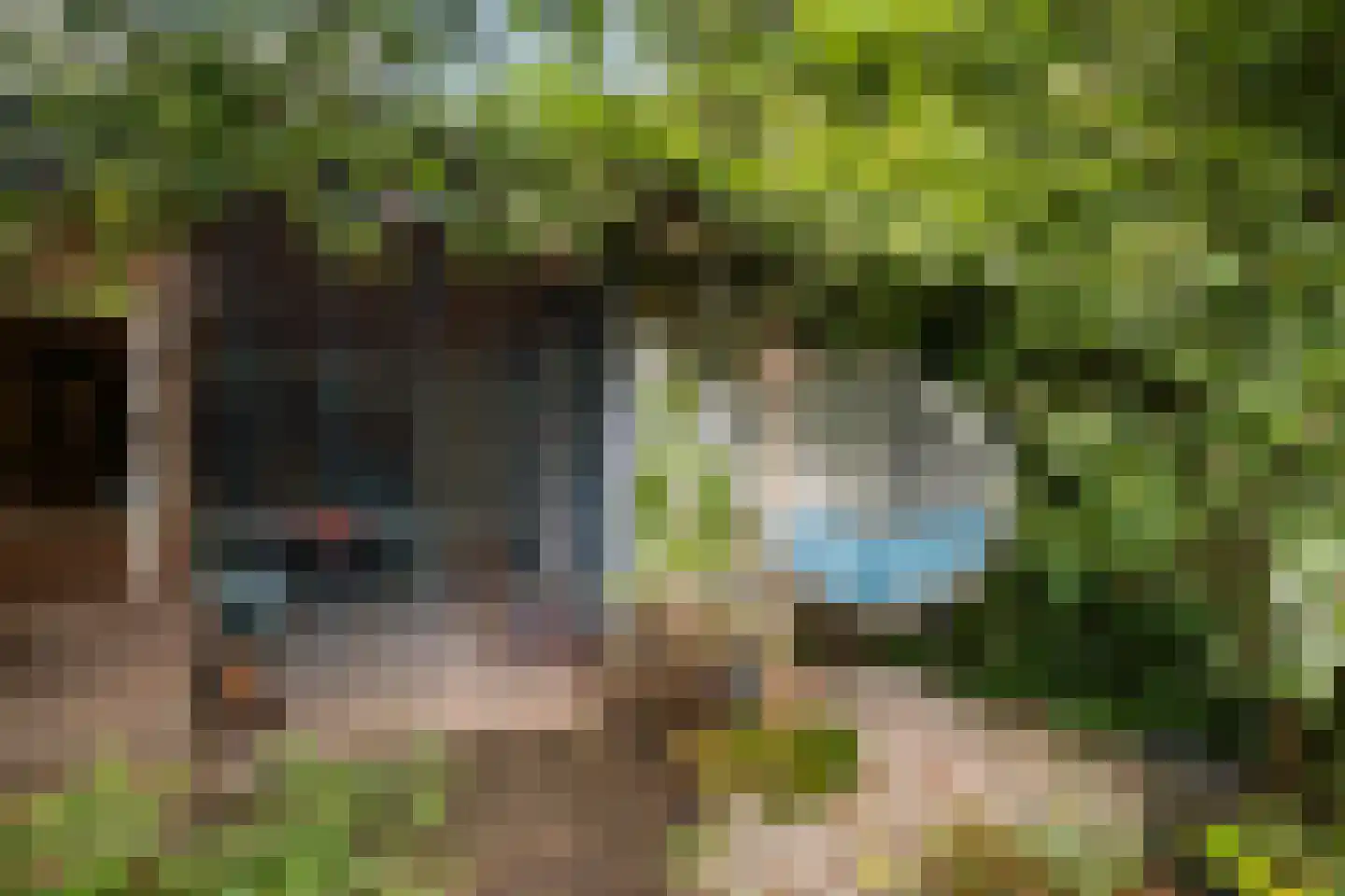 Thomsonstraat 46 Dronten thumbnail 21