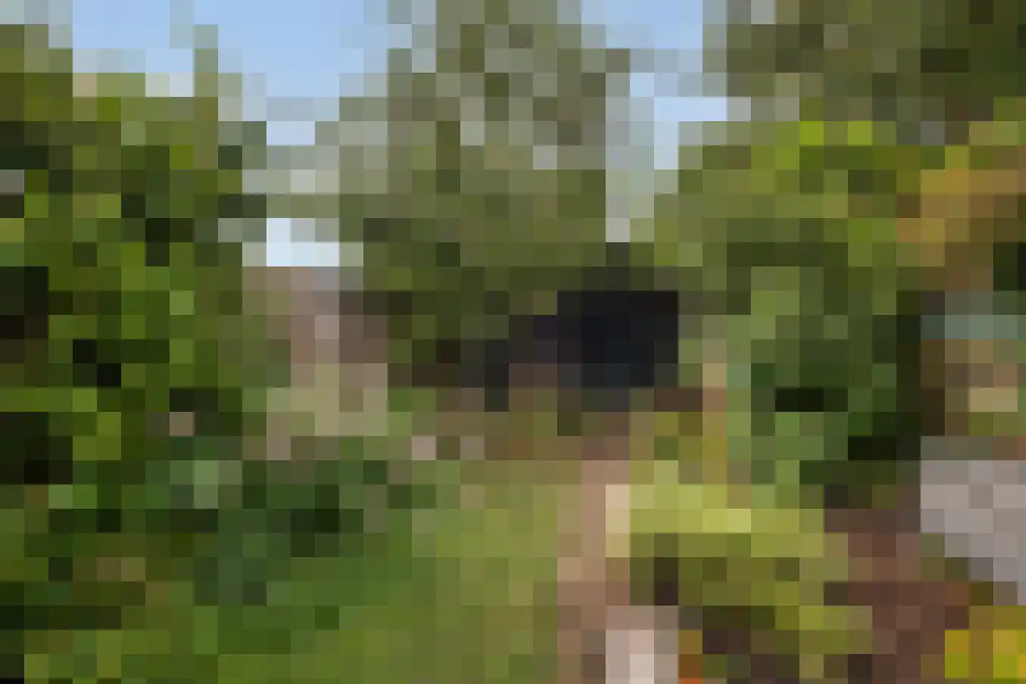 Thomsonstraat 46 Dronten thumbnail 22