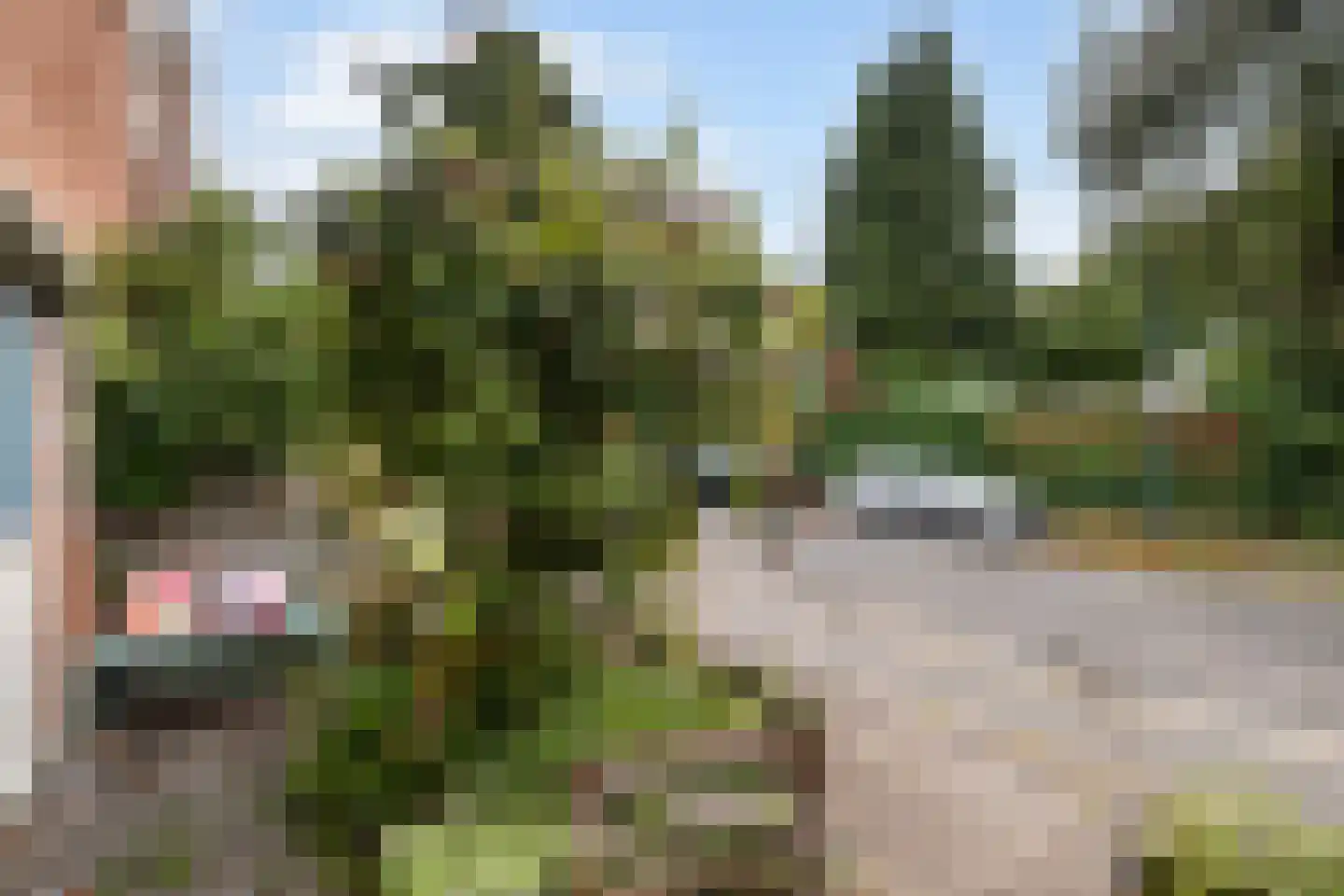 Thomsonstraat 46 Dronten thumbnail 25