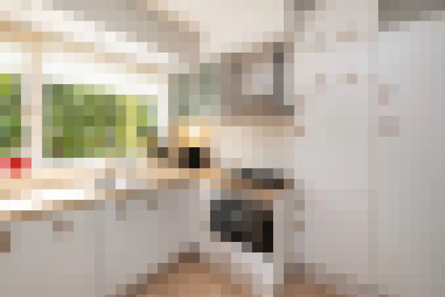Thomsonstraat 46 Dronten thumbnail 6