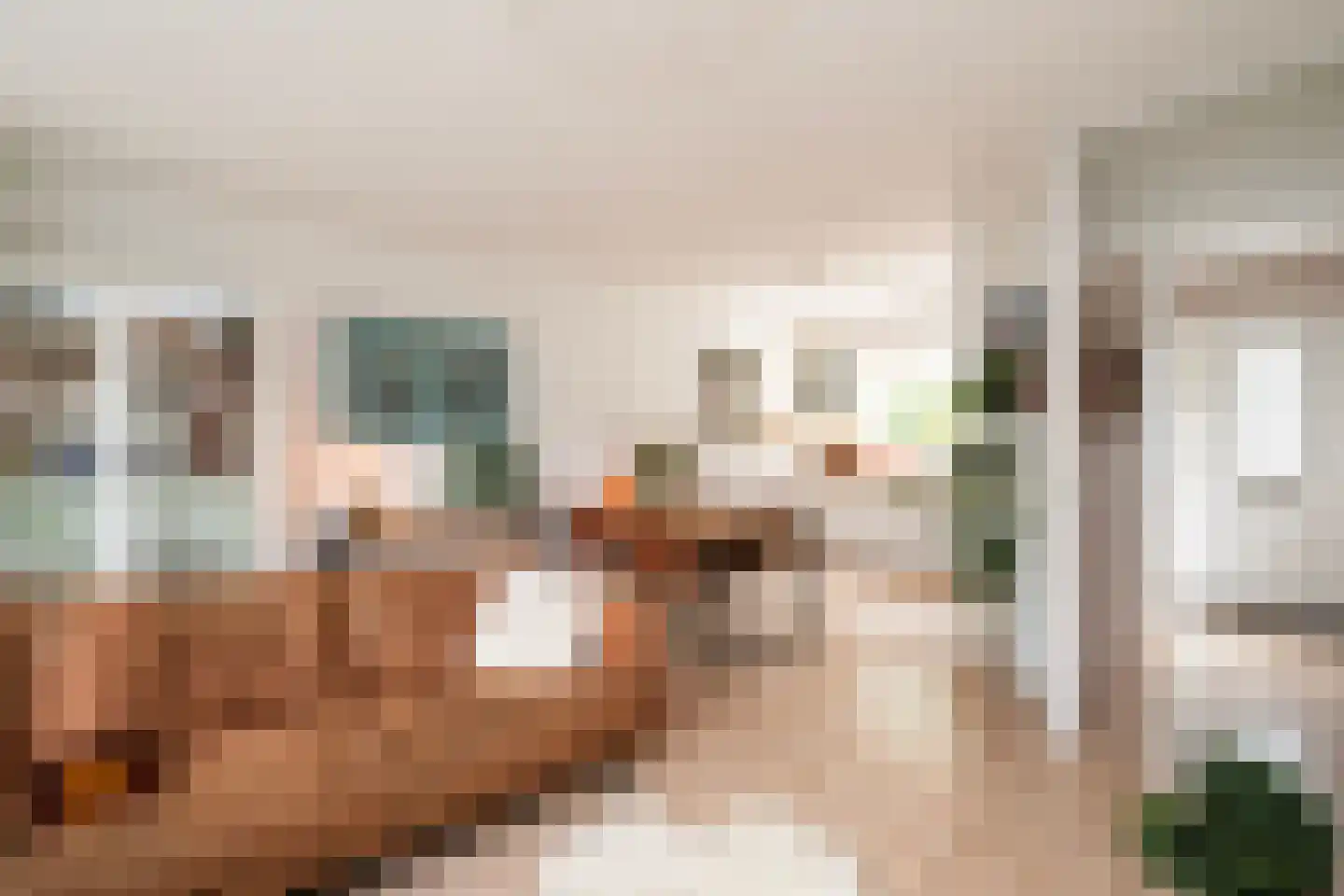 Thomsonstraat 46 Dronten thumbnail 8