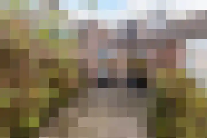 Thomsonstraat 52 Dronten thumbnail 13