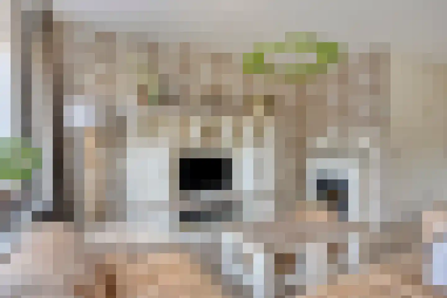 Thomsonstraat 66 Dronten thumbnail 8