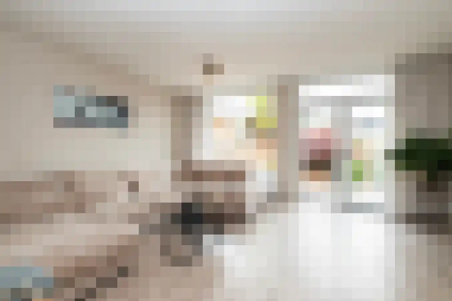 Thomsonstraat 68 Dronten thumbnail 6