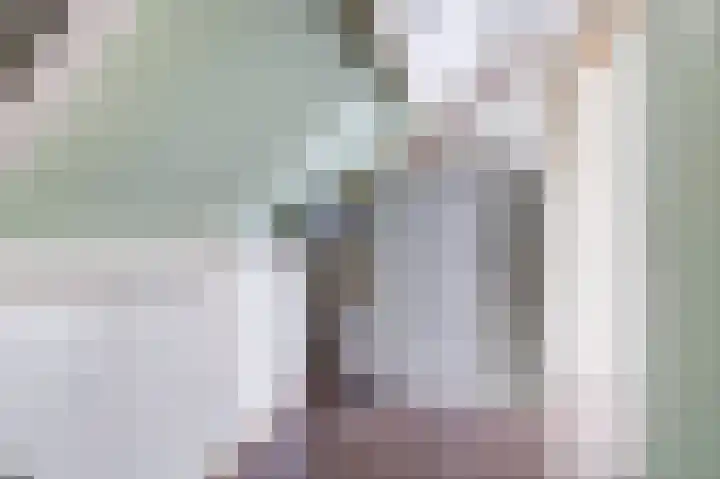 Thomsonstraat 98 Dronten thumbnail 21