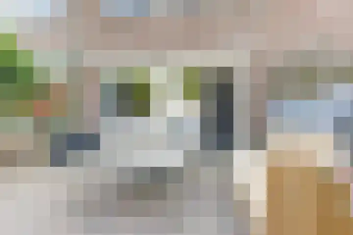 Thomsonstraat 98 Dronten thumbnail 26