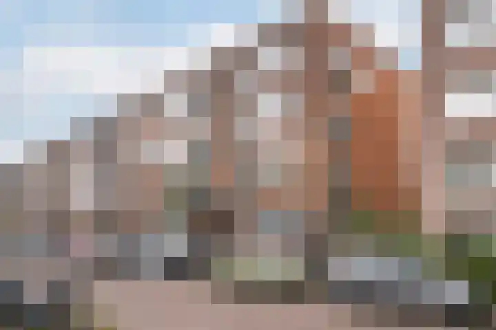 Thomsonstraat 98 Dronten thumbnail 39