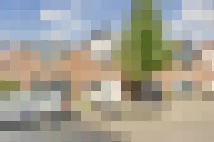 Thomsonstraat 98 Dronten thumbnail 41