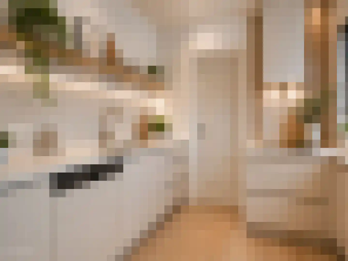 Thonies van der Borchstraat 21 Denekamp thumbnail 10